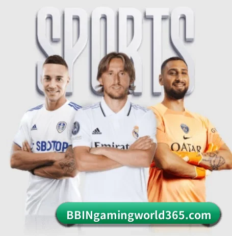 bbin真人网站五大内容板块,覆盖赛事直播与实时比分