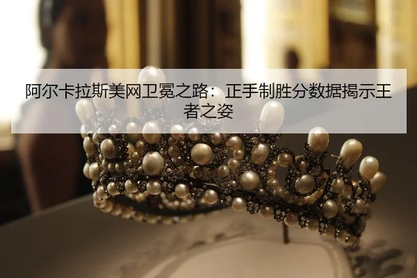 a-er-ka-la-si-mei-wang-wei-mian-zhi-lu-zheng-shou-zhi-sheng-fen-shu-ju-jie-shi-wang-zhe-zhi-zi-2-686.jpg