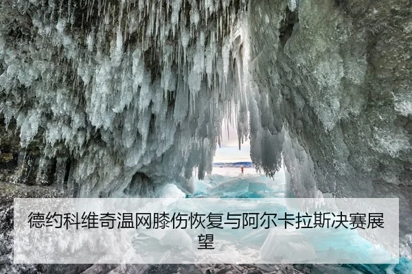 de-yue-ke-wei-qi-wen-wang-xi-shang-hui-fu-yu-a-er-ka-la-si-jue-sai-zhan-wang-2-862.jpg