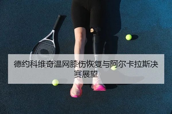 de-yue-ke-wei-qi-wen-wang-xi-shang-hui-fu-yu-a-er-ka-la-si-jue-sai-zhan-wang-3-311.jpg