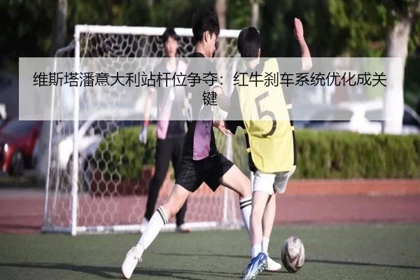 wei-si-ta-pan-yi-da-li-zhan-gan-wei-zheng-duo-hong-niu-sha-che-xi-tong-you-hua-cheng-guan-jian-3-631.jpg