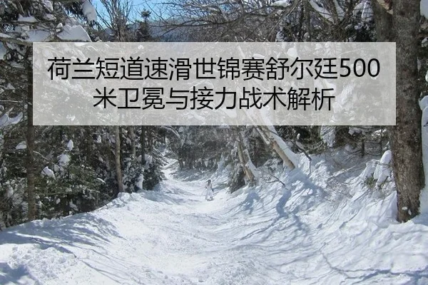 he-lan-duan-dao-su-hua-shi-jin-sai-shu-er-ting-mi-wei-mian-yu-jie-li-zhan-shu-jie-xi-3-369.jpg