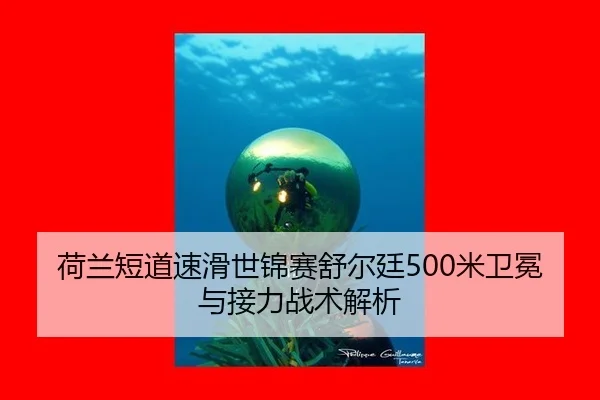 荷兰短道速滑世锦赛舒尔廷500米卫冕与接力战术解析