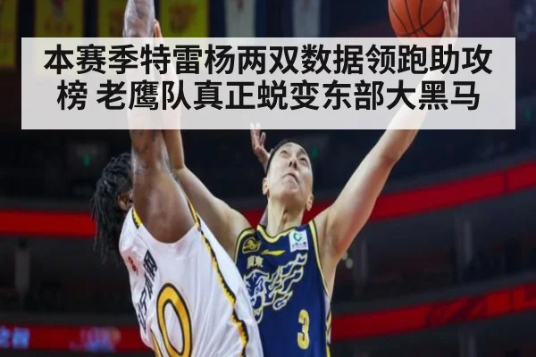 本赛季特雷杨两双数据领跑助攻榜 老鹰队真正蜕变东部大黑马